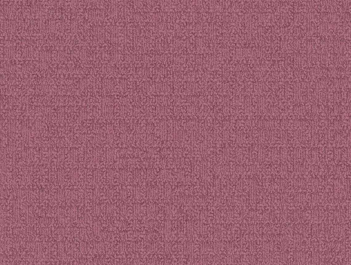 Monochrome - 101826 Very Berry