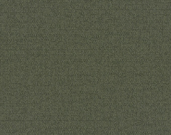 [300111131_67] Monochrome - 101856 Yew