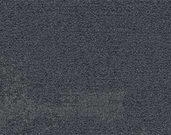 [300111134_6] NF401 - 104744 Shale