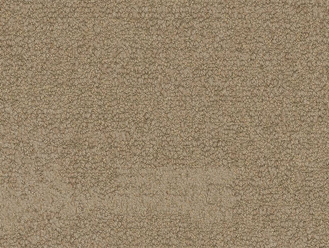 NF401 - 104749 Wheat