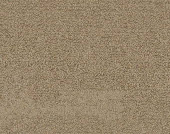 [300111134_8] NF401 - 104749 Wheat