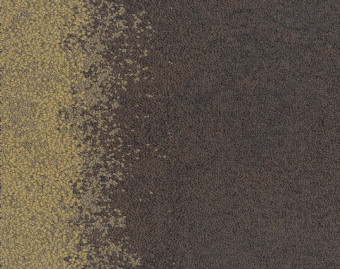 [300111163_2] UR101 - 103501 Bark/Moss