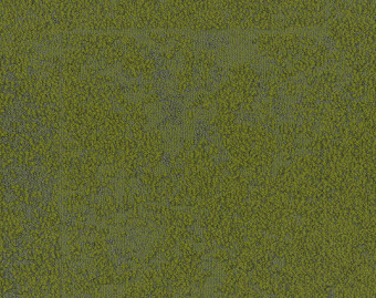 [300111165_1] UR103 - 100641 Grass