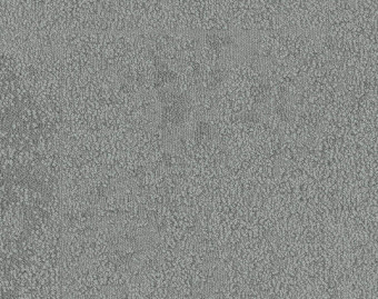 [300111165_3] UR103 - 100638 Lichen