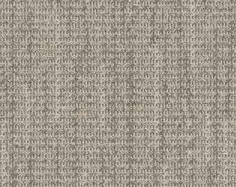 [300111167_2] WG100 - 108053 Ash