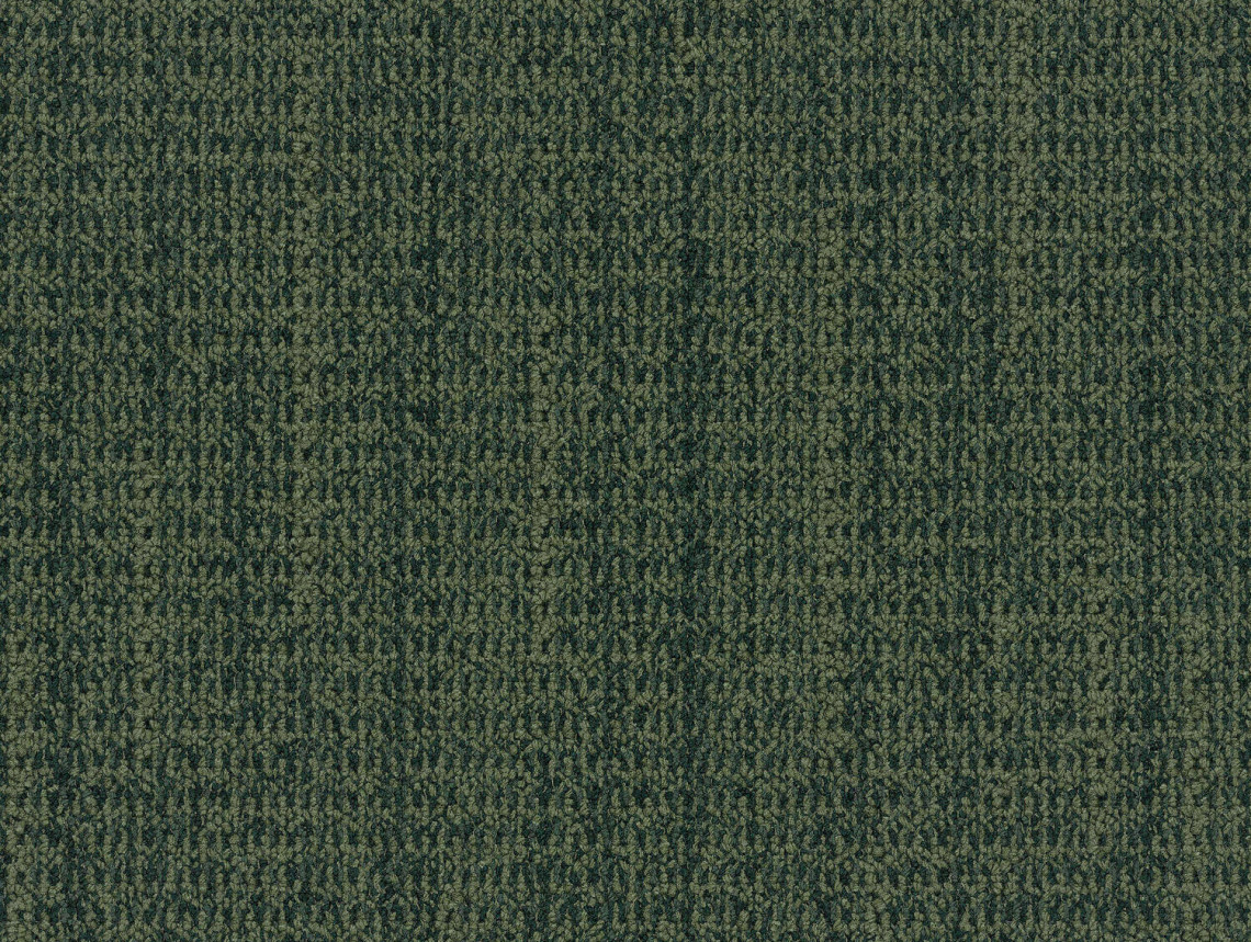 WG100 - 108058 Pine
