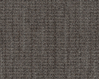 [300111167_12] WG100 - 108052 Umber