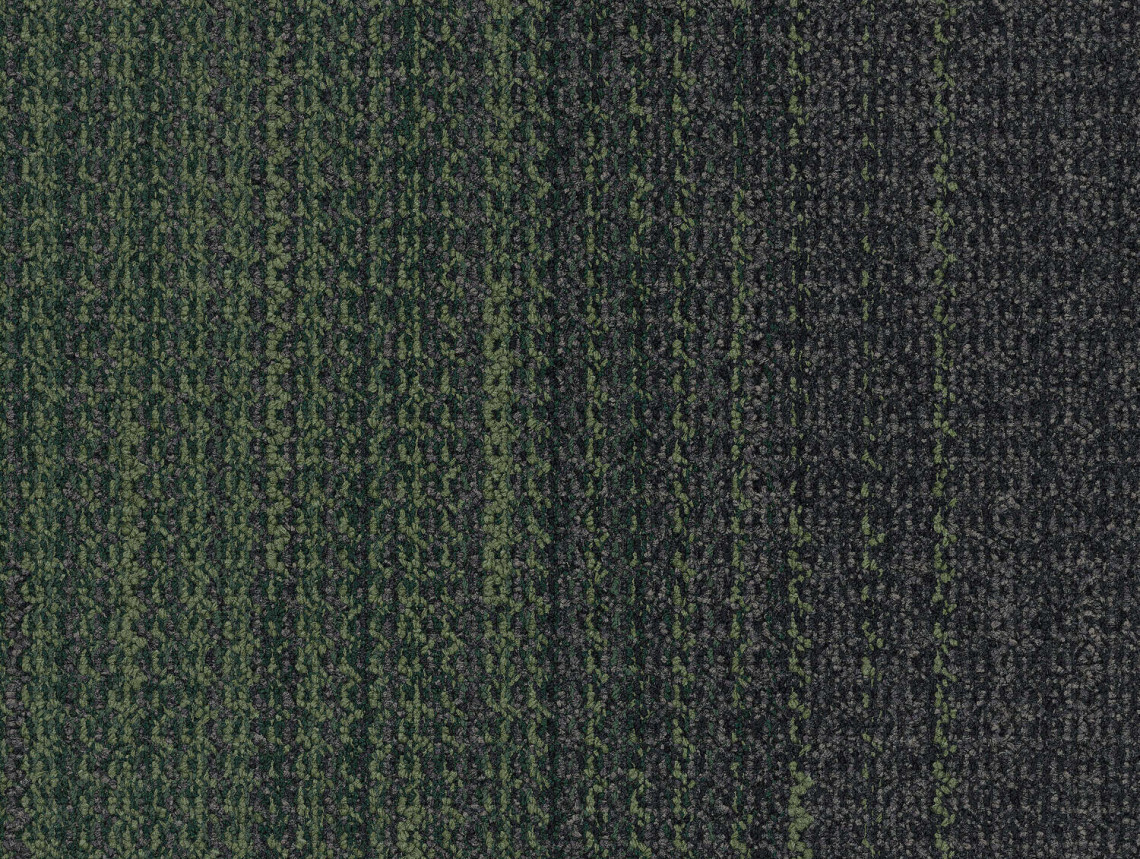 WG200 - 107672 Onyx/Pine