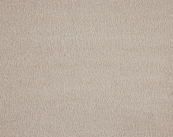 [400111231_4] Boulevard - 240-Room
