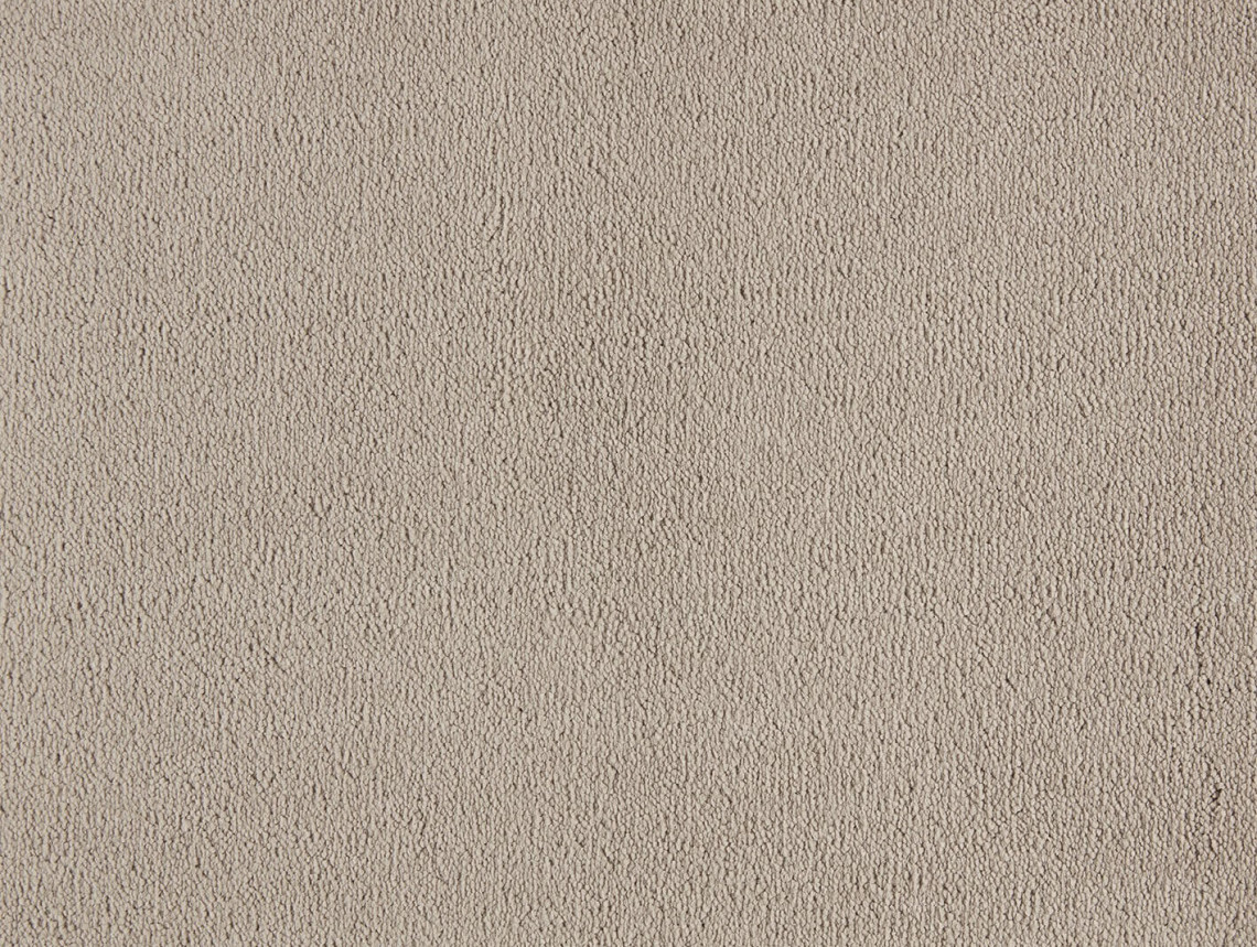 Celeste - 260-Beige