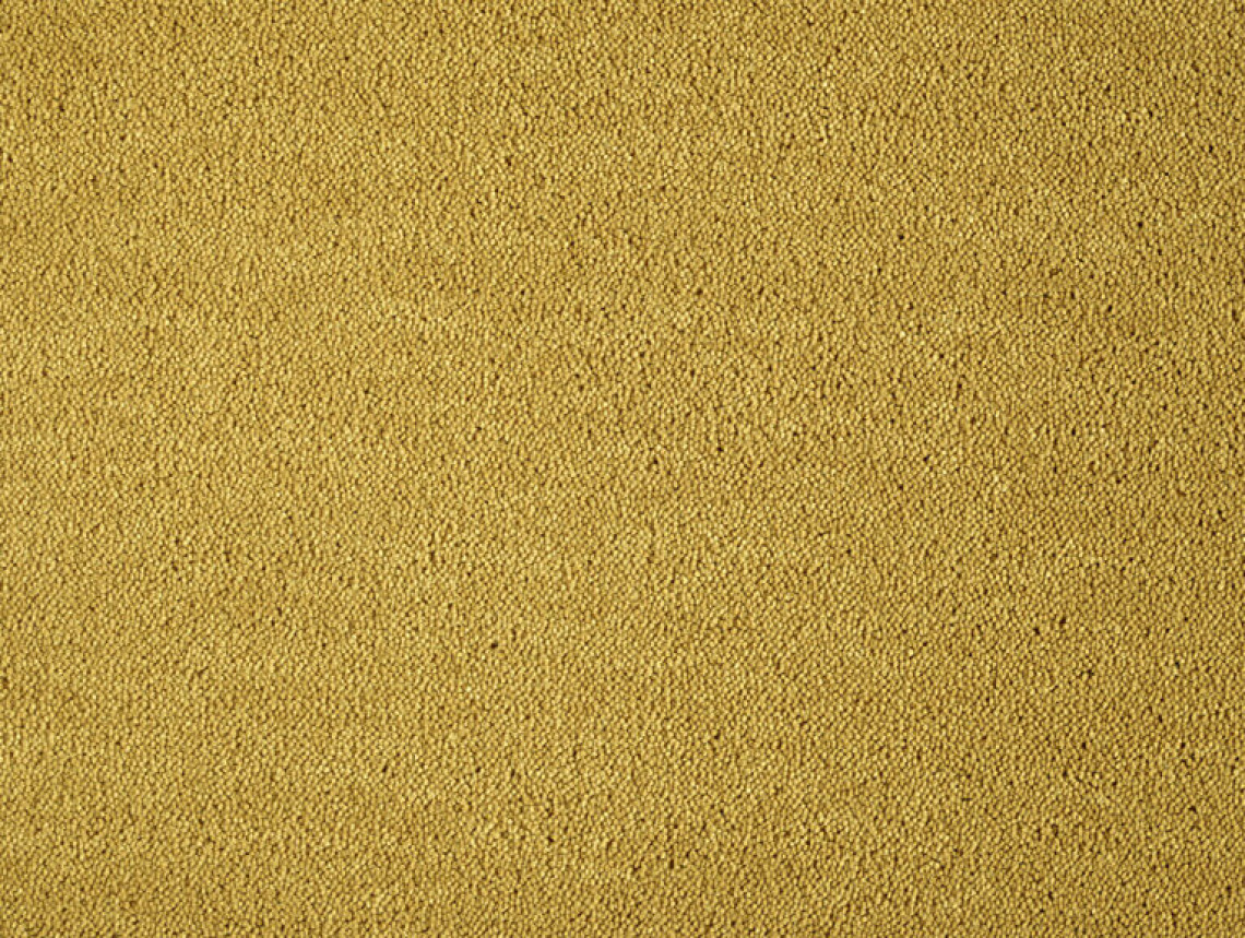 Dream - 371-Goud-1