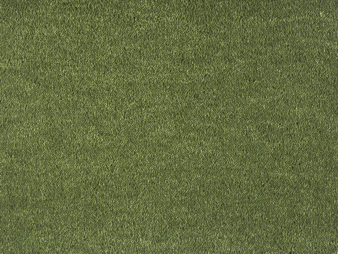 Dream - 591-Mosgroen-1