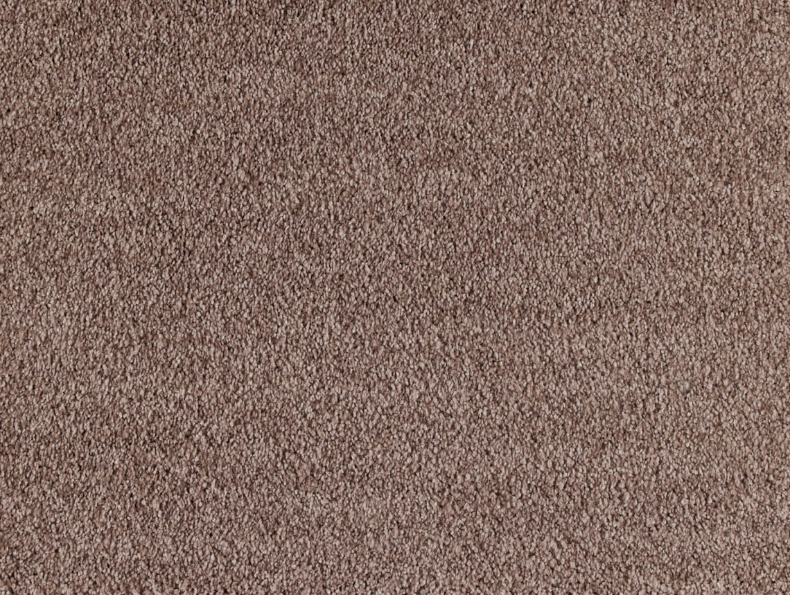 Euphoria - 261-Beige-1