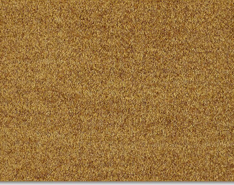[400111234_6] Euphoria - 370-Goud