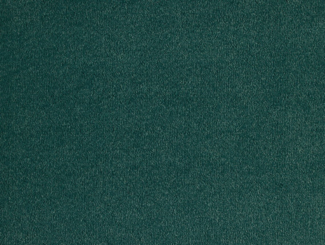 Evita - 681-Distel-1