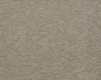 [400111239_5] Godiva - 184-Mispel-4