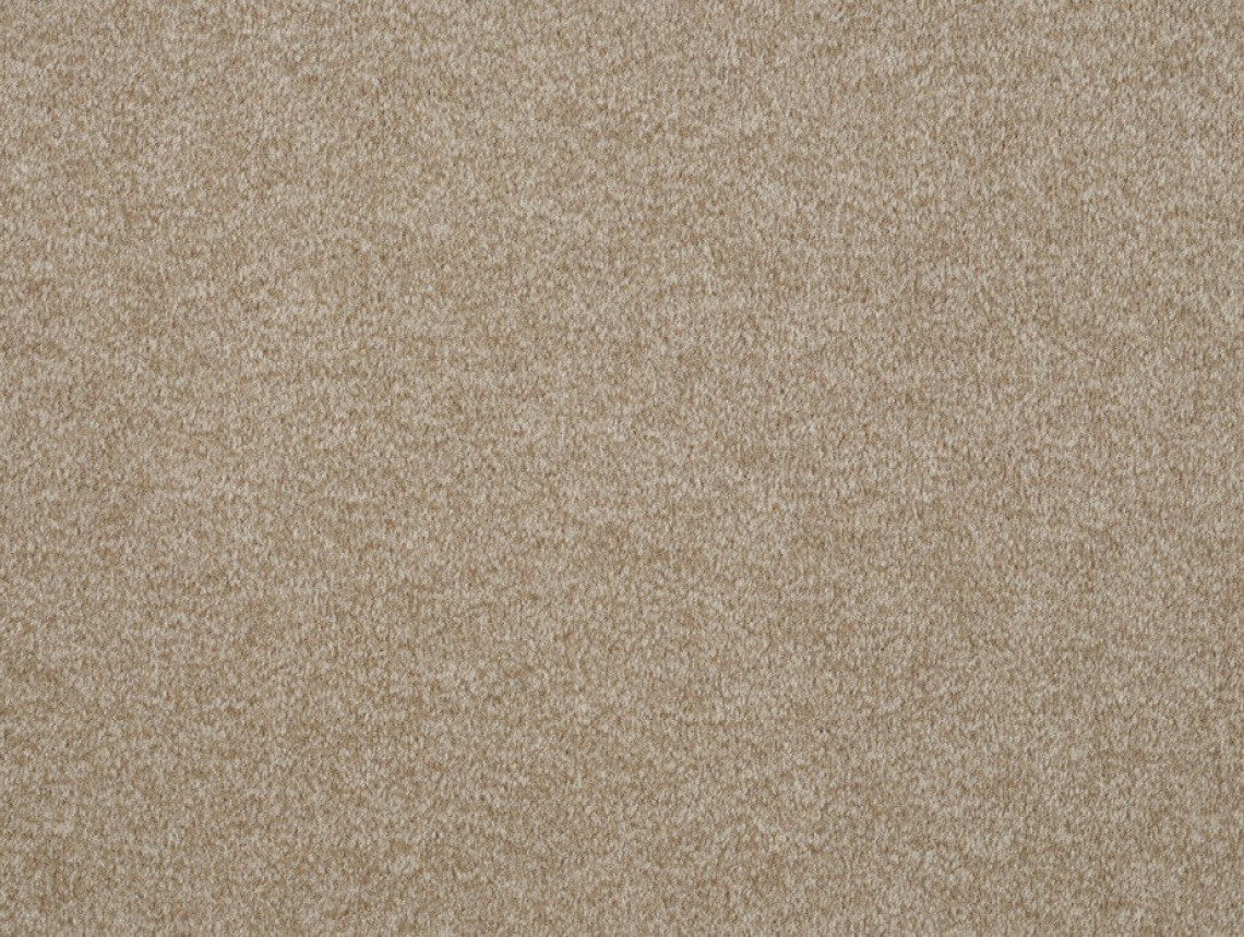 Godiva - 264-Beige-4