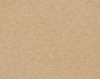 [400111239_9] Godiva - 381-Brons-1