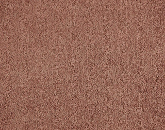 [400111265_2] Incasa - 170-Zalm