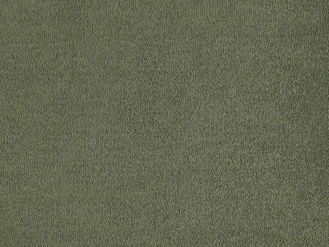 Lior - 610-Klimop