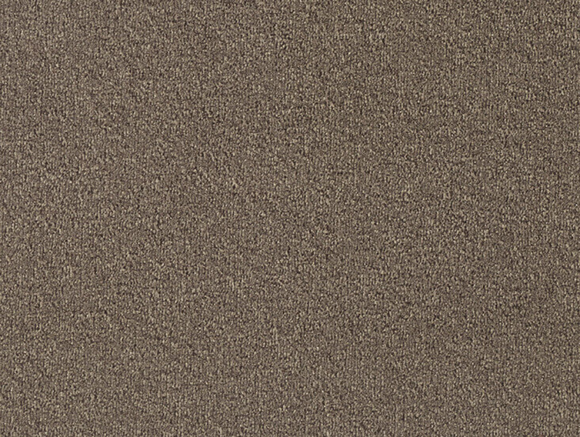 Minerva - 270-Kurk