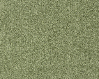 [400111242_6] Minerva - 520-Varen