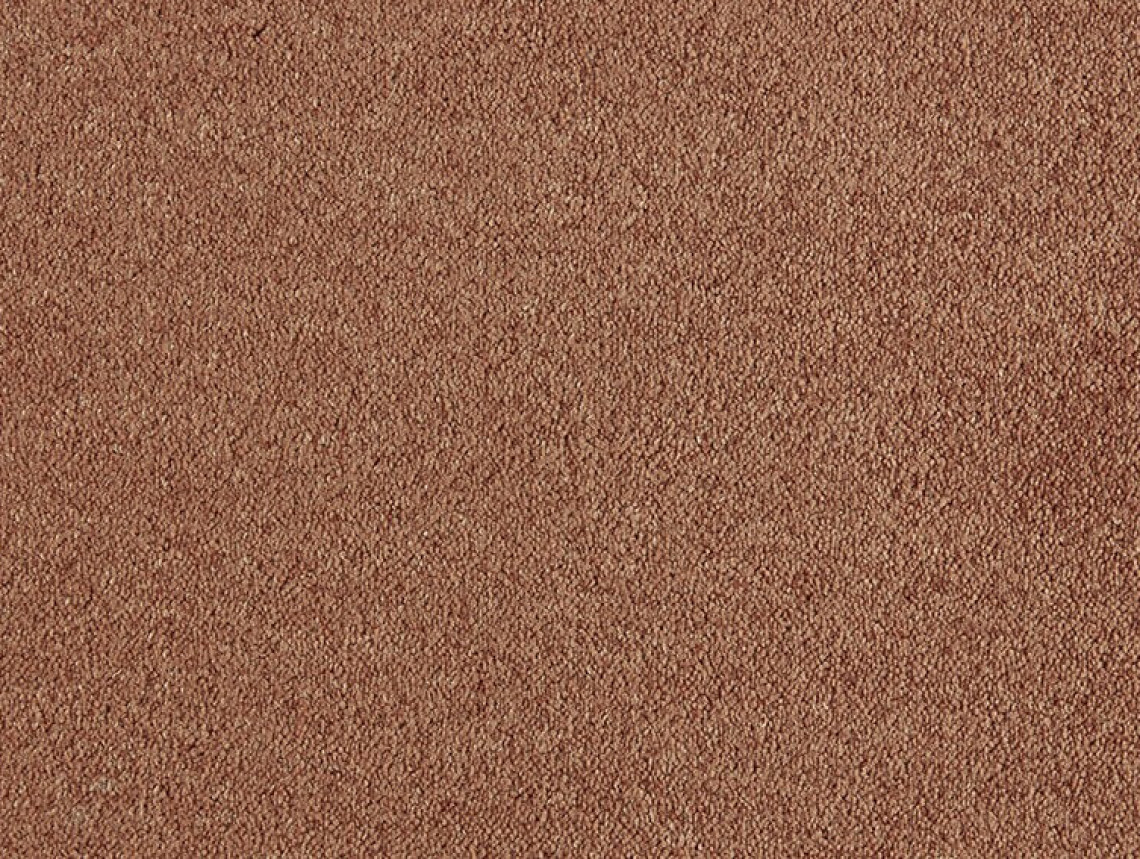 Patina - 330-Abrikoos