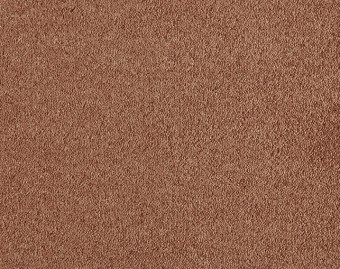 [400111271_3] Patina - 330-Abrikoos