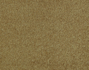 [400111271_4] Patina - 370-Goud