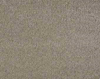 [400111271_5] Patina - 420-Bever