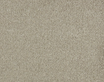 [400111271_6] Patina - 430-Leem
