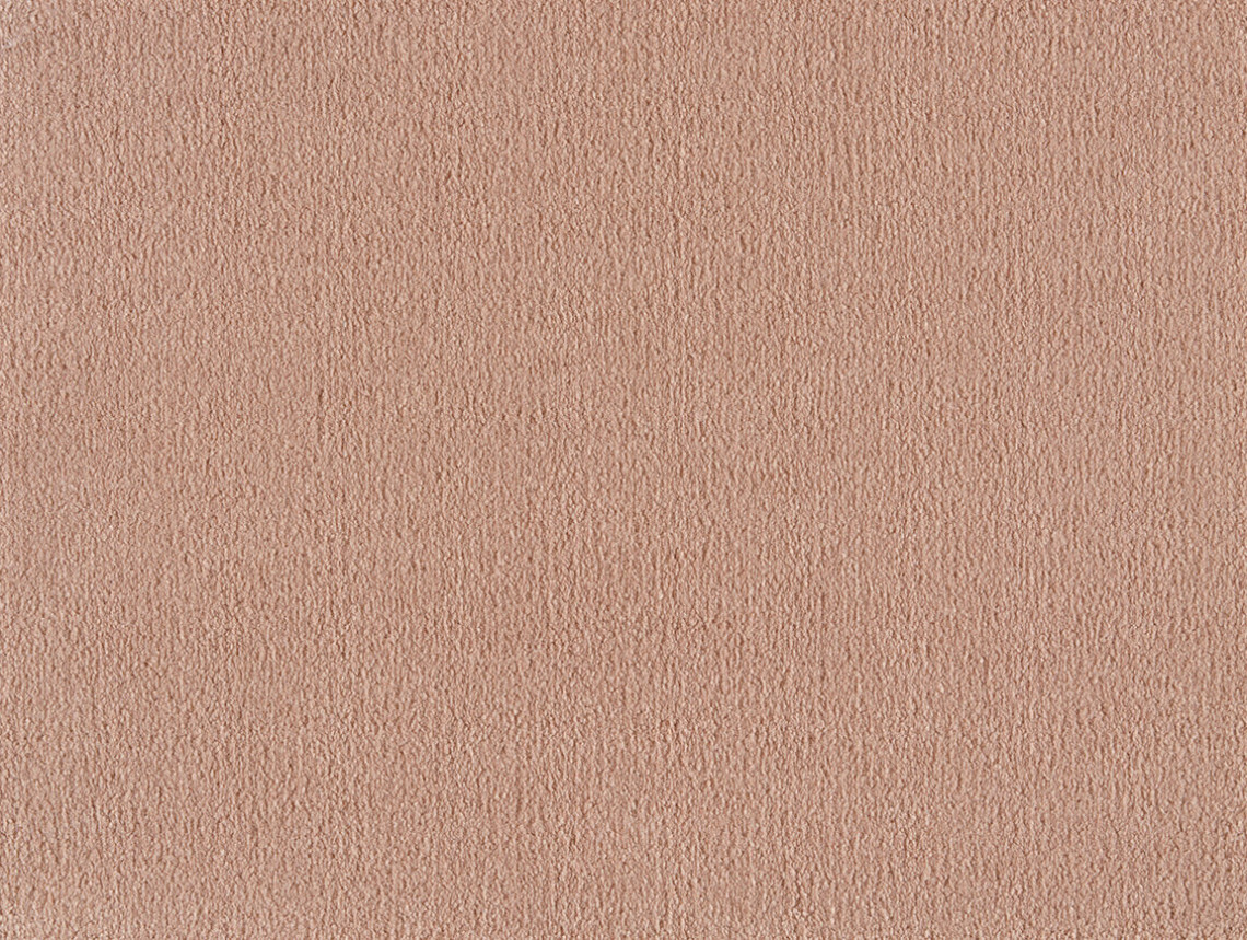 Pleasure - 151-SAHARA-1