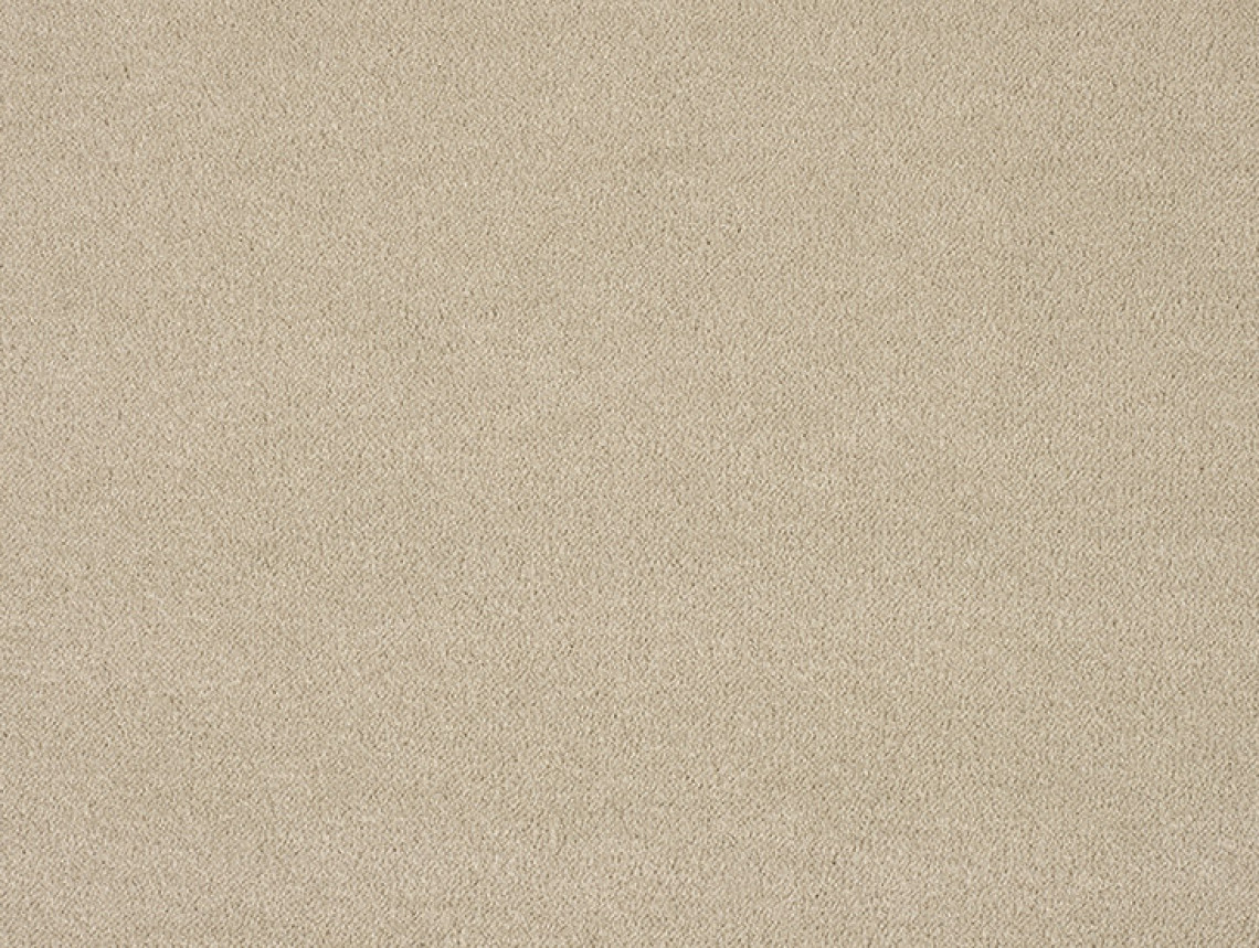 Pleasure - 260-Beige