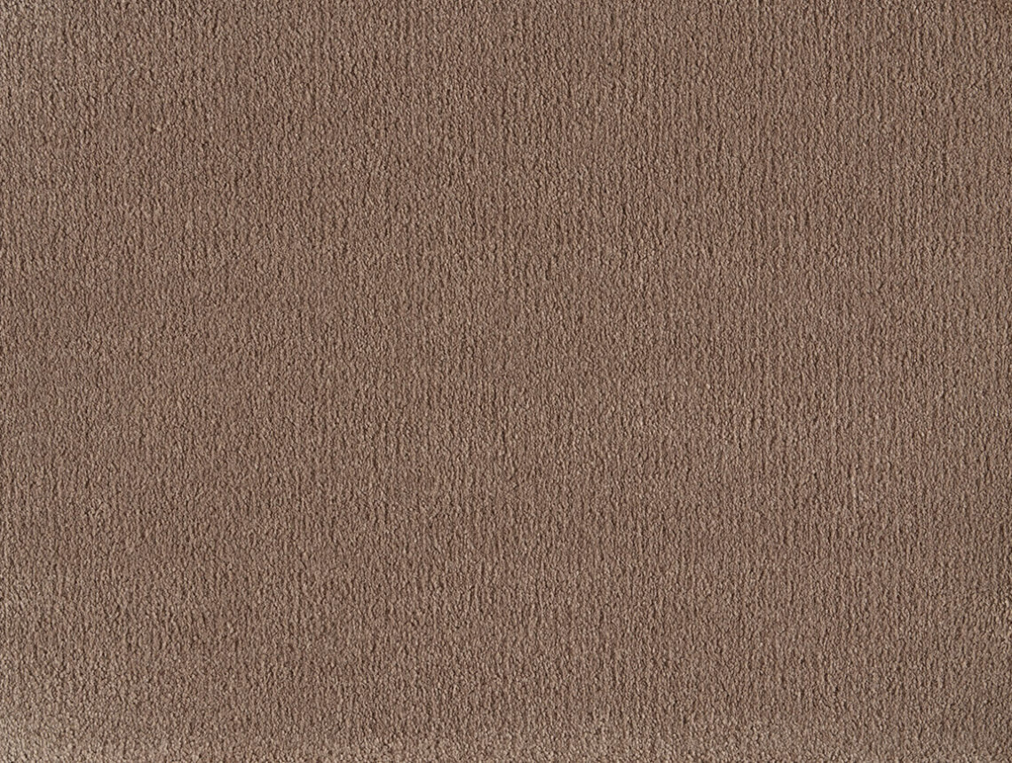 Pleasure - 421-Bever-1