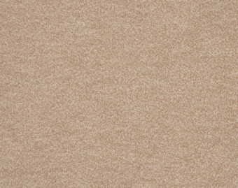 [400111248_7] Rumba - 239-Vlas-9