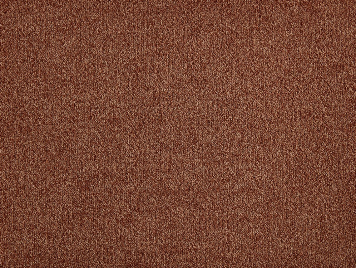 Rumba - 332-Abrikoos-2