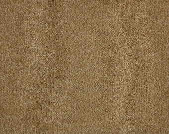 [400111248_16] Rumba - 372-Goud-2