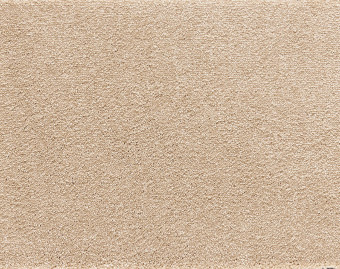 [400111253_6] Serenade - 451-Zand-1