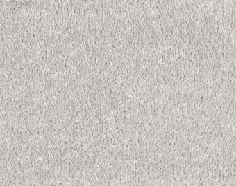 [400111253_15] Serenade - 880-Parel