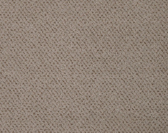 [400111256_4] Square - 262-Beige-2