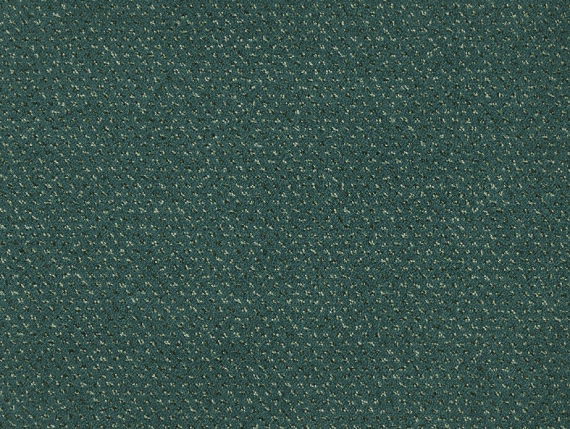 Square - 682-Distel-2