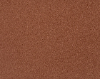 [400111260_15] Zen - 311-Roest-1