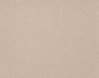 [400111260_21] Zen - 451-Zand-1