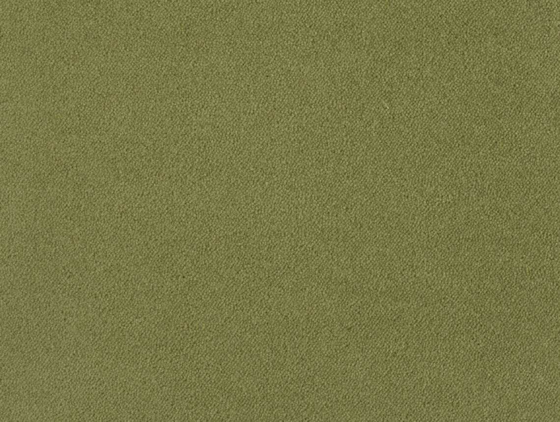 Zen - 511-Gazon-1