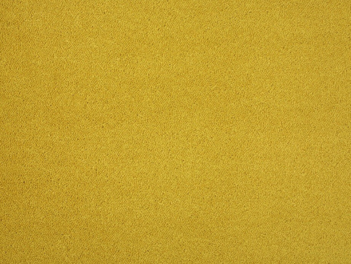 Zen - 544-Curry-4