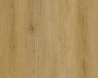 [800111404_19] Home 30 Click - Fine Oak Amber - OFR-030-029N