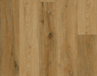 [800111407_8] CLASSIC 30 XL - Prestige OAK Honey - OFK-030-008