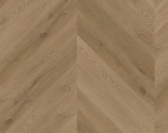 [800111405_32] Workshop 55 - Prestige Oak Light Amber - OFD-055-159