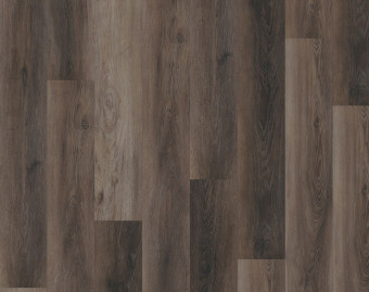 [800111406_1] Workshop 55 Click - Walnut Dark Brown - OFR-055-050