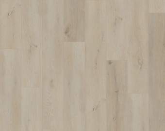 [800111406_8] Workshop 55 Click - Prestige Oak White - OFR-055-057